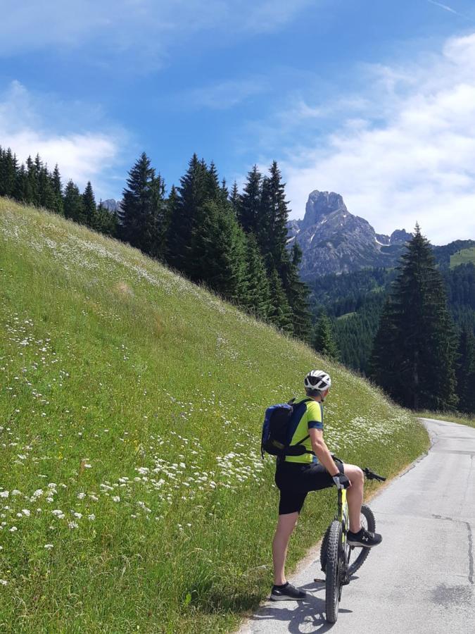 Appartement Freiraum Sankt Martin am Tennengebirge Exteriér fotografie