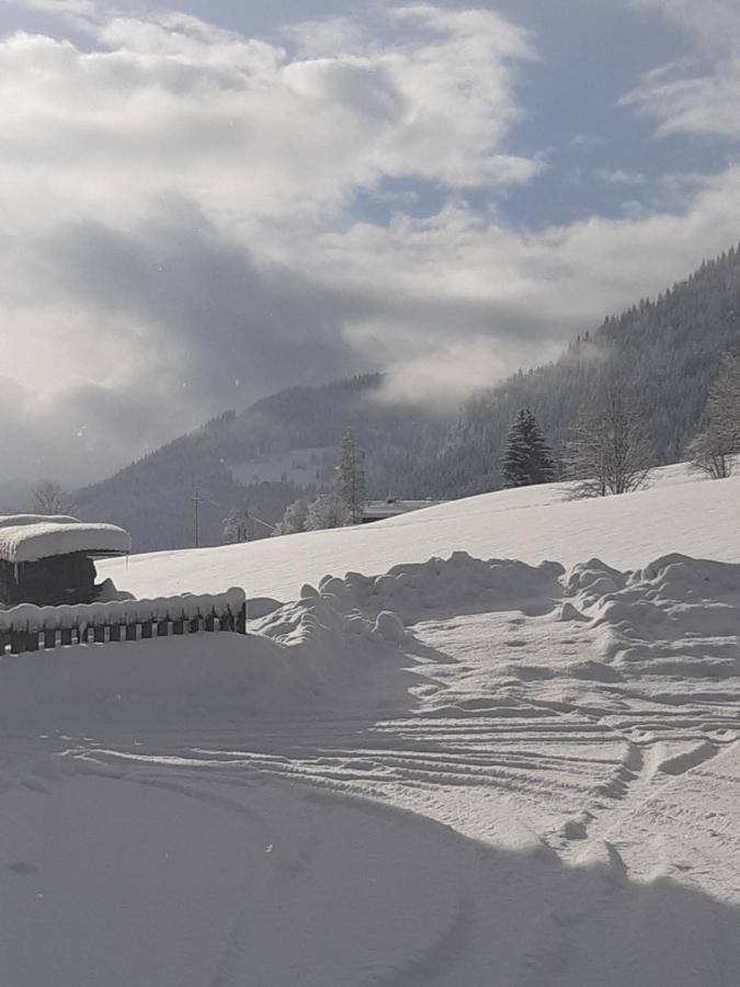 Appartement Freiraum Sankt Martin am Tennengebirge Exteriér fotografie