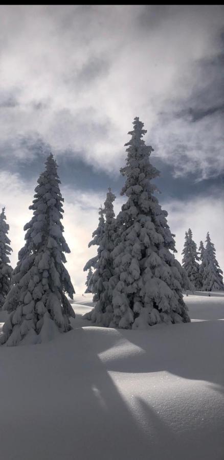 Appartement Freiraum Sankt Martin am Tennengebirge Exteriér fotografie