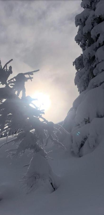 Appartement Freiraum Sankt Martin am Tennengebirge Exteriér fotografie
